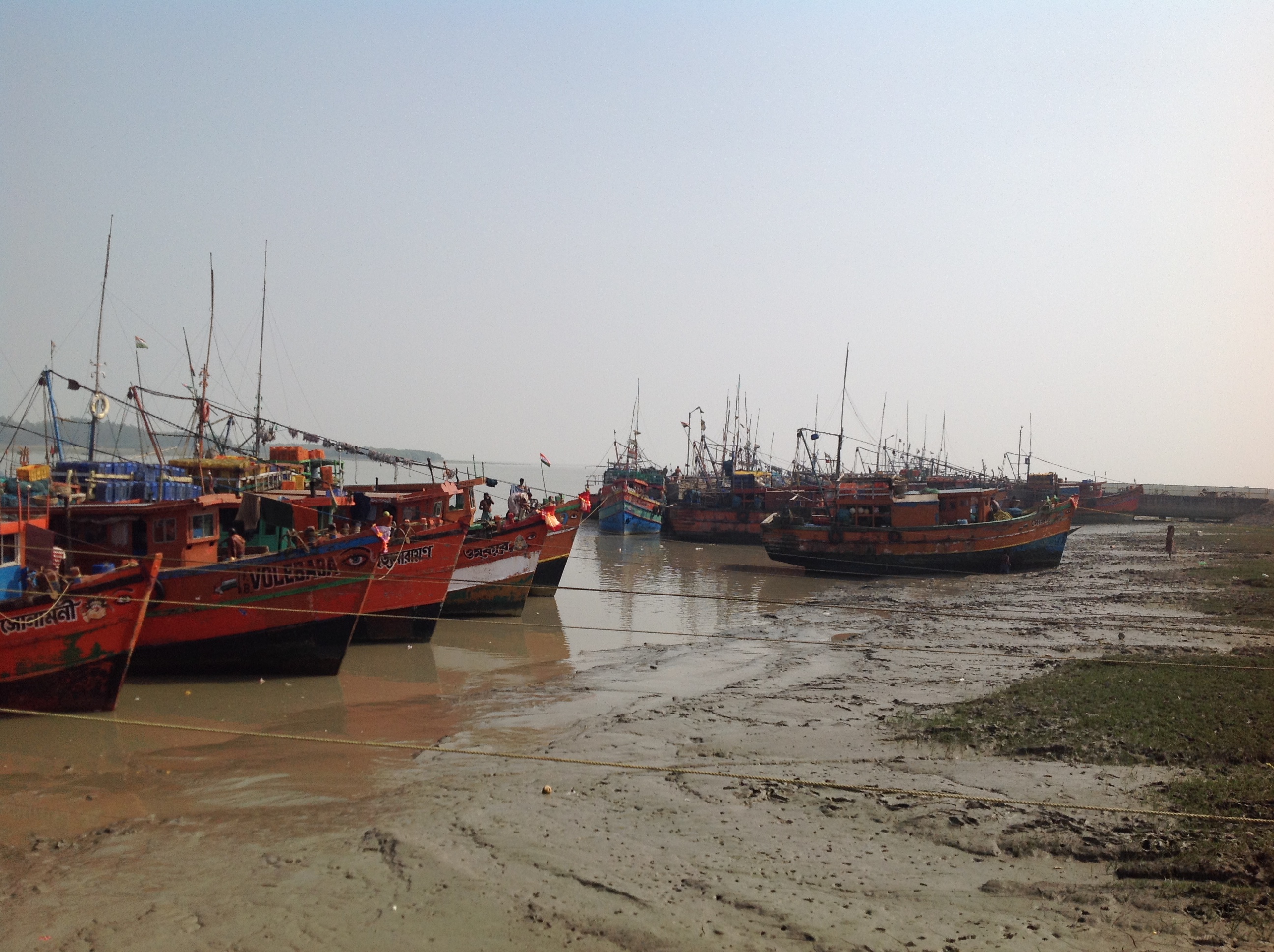 Deshpran Fishing Harbour, Petuaghat, Purba Medinipur